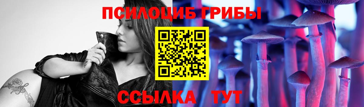Галлюциногенные грибы Cubensis Хасавюрт